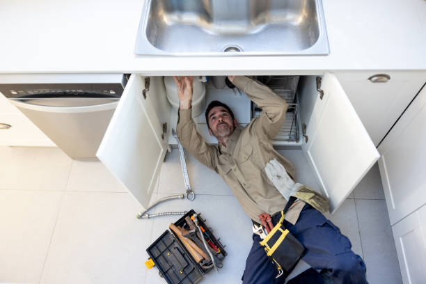 Best Residential Plumbing Services  in Chelsea, MI